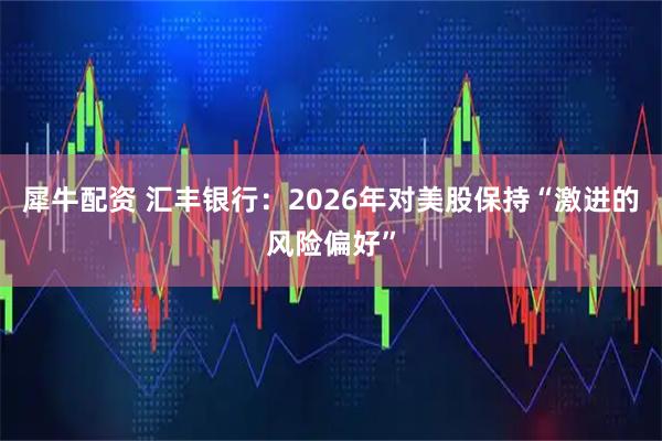 犀牛配资 汇丰银行：2026年对美股保持“激进的风险偏好”