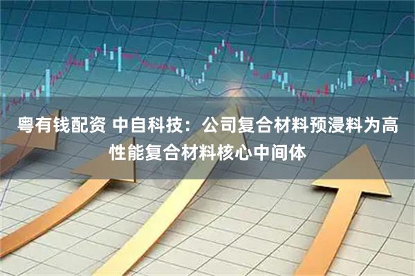 粤有钱配资 中自科技：公司复合材料预浸料为高性能复合材料核心中间体