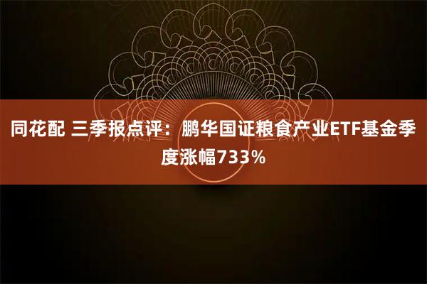 同花配 三季报点评：鹏华国证粮食产业ETF基金季度涨幅733%